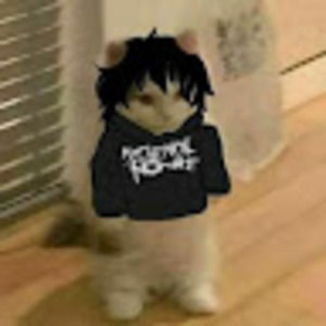 Meet your Posher, Hunter